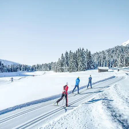 Lägenhetshotell Torri Di Seefeld Seefeld in Tirol